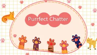 Purrfect Chatter 喵语心扉