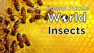 Jigsaw Puzzle World - Insects