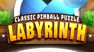 Labyrinth: Classic Pinball Puzzle - Switch