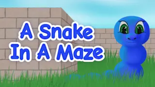 A Snake In A Maze