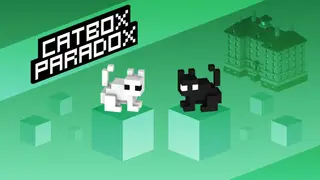 Cat Box Paradox
