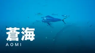 蒼海 -AOMI
