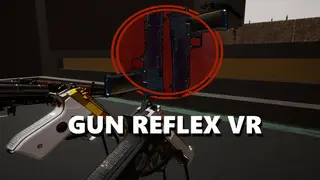 Gun Reflex VR
