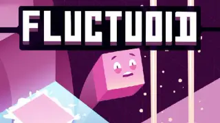 FLUCTUOID