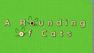 A Rounding of Cats