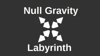 Null Gravity Labyrinth