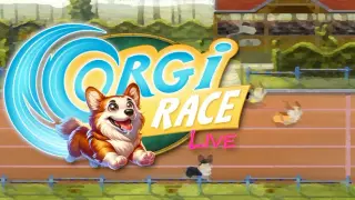 Corgi Race Live