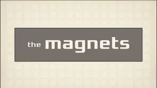 The Magnets