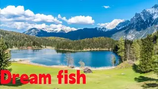 Dream fish
