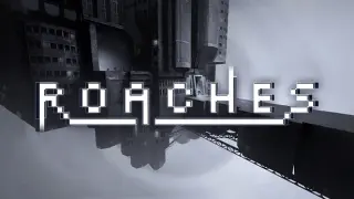 Roaches