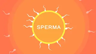 Sperma