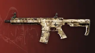 Deadside: Sandstorm Skin Set - PS5