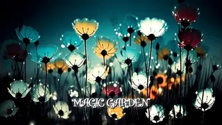Magic Garden