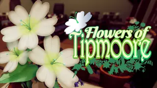 Flowers of Tipmoore