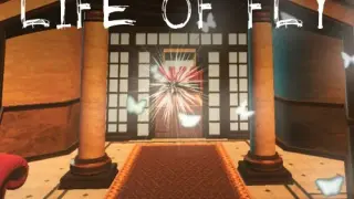 Life of Fly - Switch