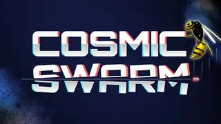 Cosmic Swarm
