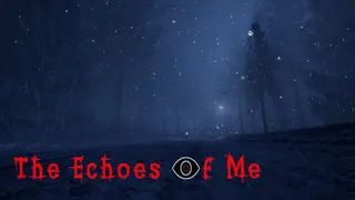 The Echoes of Me