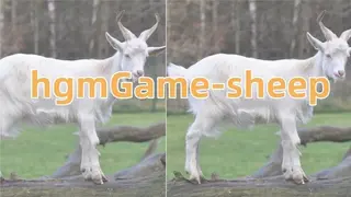 hgmGame-sheep