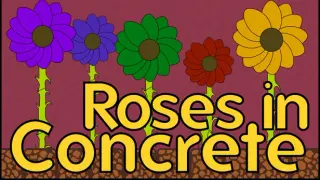 Roses In Concrete