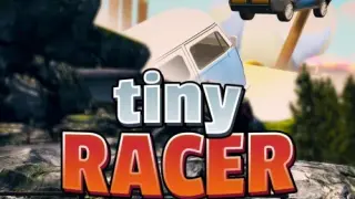 Tiny Racer - Switch
