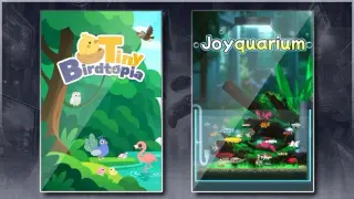 Tiny Birdtopia & Joyquarium