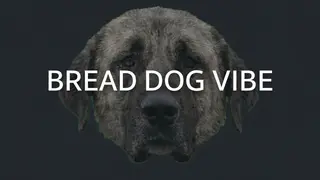 Bread Dog Vibe