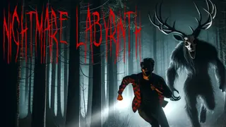 Nightmare Labyrinth
