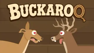 Buckaroo