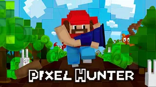 Pixel Hunter