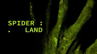 Spider Land