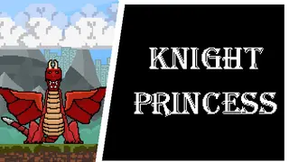 Knight&Princess