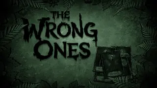 The Wrong Ones