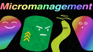 Micromanagement