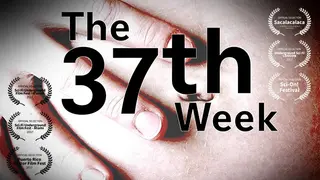 The 37th Week