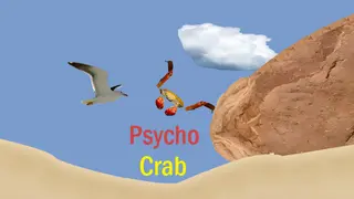 Psycho Crab