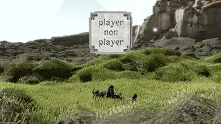 Player Non Player