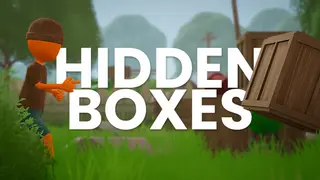 Hidden Boxes