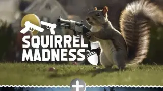Squirrel Madness & Silent Mist - Switch