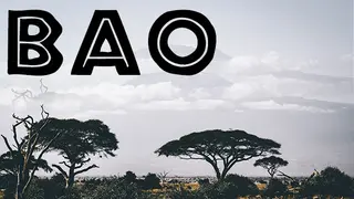 BAO