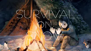 Survival On Snow
