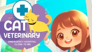 Cat Veterinary: Emergency Hospital Close to Me - Switch