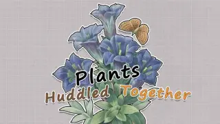 Plants Huddled Together