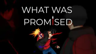 What Was Promised