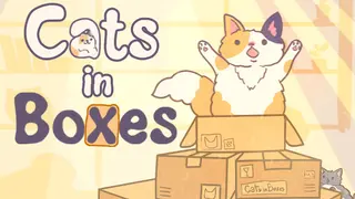 Cats in Boxes
