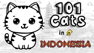 101 Cats in Indonesia
