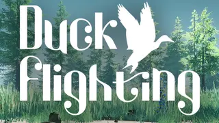 Duck Flight Simulator 2021