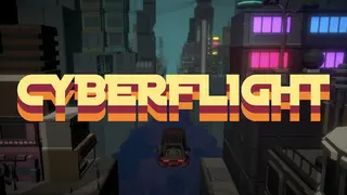 Cyberflight