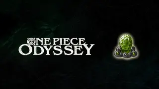 ONE PIECE ODYSSEY - HP Conversion Petit Jewelry