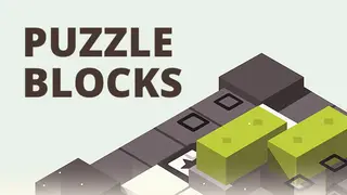 Puzzle Blocks
