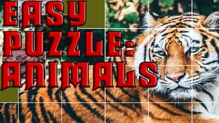 Easy puzzle: Animals